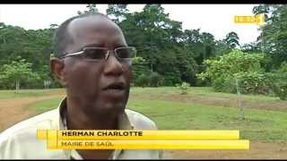 saul 2013 guyane orpailleurs [upl. by Norag684]