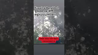 natural pure Sundarban honey BDعسل سونداربان النقي الطبيعي explore soothingquran [upl. by Eceeryt]