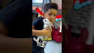 Trajo a su Conejo de compañía 🐇 a la Escuela 🏫 Pero lo que pasó después te sorprenderá 😱 [upl. by Tomlinson747]