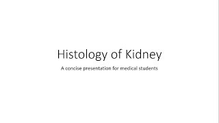 Kidney  Histology [upl. by Eixirt240]