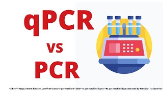 qPCR DATA ANALYSIS  REAL TIME PCR [upl. by Adorne]