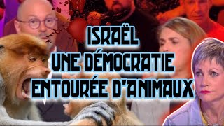 ISRAËL EST ENTOURÉ DANIMAUX SELON ISABELLE VOMI BOSC DANS TPMP [upl. by Chantalle]