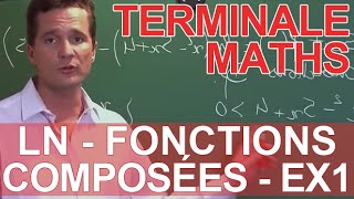 Logarithmes népériens  Fonctions composées  Ex 1  MATHS  TS TES  Les Bons Profs [upl. by Onilatac]