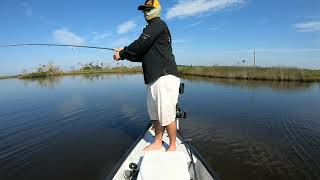 Gheenoe Lt10  Nature Coast Snook fishing Crystal River Florida [upl. by Kynthia]