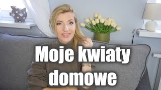 Moje kwiaty domowe│Kwiaty doniczkowe w moim domu│Semika [upl. by Nima]