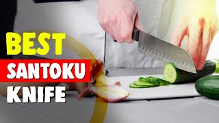 Best Santoku Knife in 2021 – According to Chefs [upl. by Annahahs]