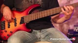 Review Demo  MTD Kingston Saratoga Deluxe Bass [upl. by Nani]