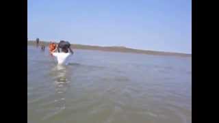 Wadlopen Ameland geul [upl. by Levitan347]