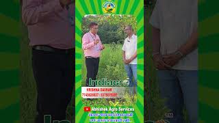 Indiagro 7 Months Result Bhuastra super  Grow Magic  Olif [upl. by Korey]