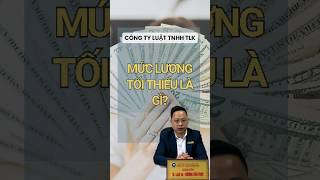 TVPLLAO ĐỘNG Mức lương tối thiểu là gì news tintuc luat laođộng [upl. by Etteval]