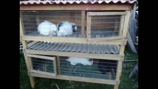 Jaulas Casera de 2 pisos para Conejos  Cuyes  Pollos Rabbit HUTCH [upl. by Waldos]