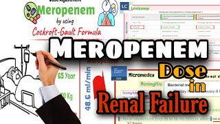 Meropenem Dose adjustment in Renal failure  Pharmacology [upl. by Adyeren800]