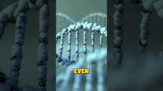 CRISPR gene editing gene crispr facts [upl. by Isla]