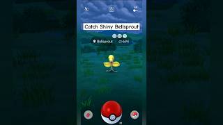 Catch Shiny Bellsprout  Pokemon GO Indonesia pokemon pokemongo shinypokemons [upl. by Akiras]