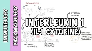 Immunology  Interleukin 1 IL1 physiology and IL1 antagonist pharmacology [upl. by Kelton]