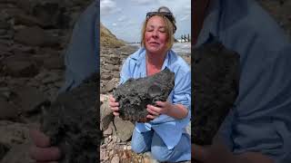 part 2 quot The Revealquot mammoth history treasurehunting fossil beach [upl. by Amitie]