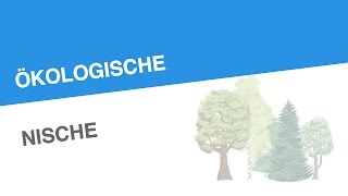 ÖKOLOGISCHE NISCHE  Biologie  Ökologie [upl. by Marka]