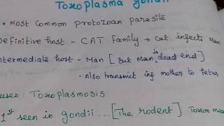 Toxoplasma gondii Toxoplasmosis [upl. by Nicodemus116]