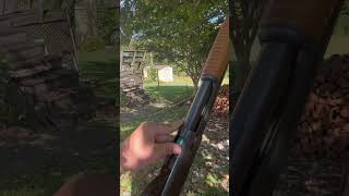 Stevens model 67 series E 12 gauge 12gauge guns shooting shotgun [upl. by Acissev343]