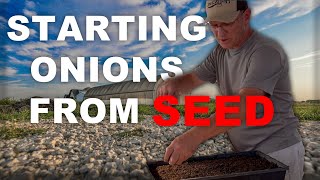 Starting Onions from Seed [upl. by Angelico895]