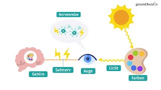 Wie funktioniert das Farbensehen und was ist Farbenblindheit [upl. by Pierrepont695]