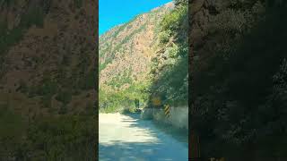 Way to heaven travel youtubeshorts forest nature [upl. by Dhu]