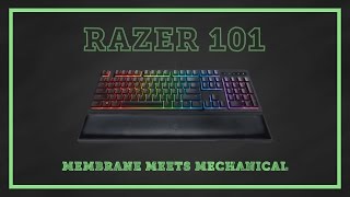 Razer 101  Ornata Chroma  Membrane Meets Mechanical [upl. by Myrwyn156]