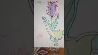 My Top Seven Arts Arts suscribe like [upl. by Diella901]