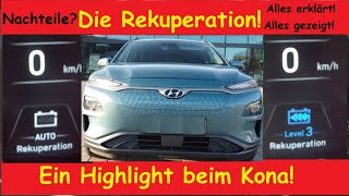 Die Rekuperation Ein Highlight beim Kona  AutoRekuperation Paddelsich zeige Euch alles [upl. by Cristiano]