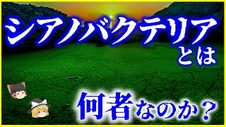 【ゆっくり解説】植物？細菌？「シアノバクテリア」とは何者なのか？を解説生物の誕生と進化に重要な役割を果たした藍藻とは [upl. by Zullo]