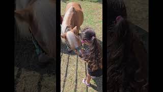 Aubrey feeding the animals at Holz Farm Harvest Festival Sept 2024 [upl. by Eidnew]