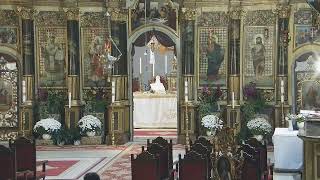 Episcopia GrecoCatolică de Oradea Live Stream [upl. by Nnahteb488]