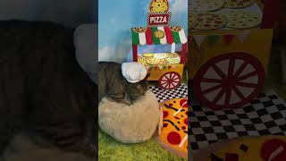 The bread maker is now offering pizzas ￼Pizza Pizzeria Pan YouTube ChefGary Cat [upl. by Barclay]