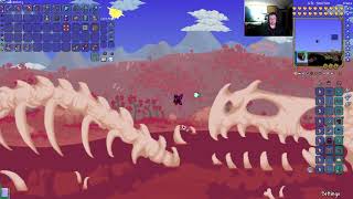 Terraria Stream 49 11112024 [upl. by Rj]