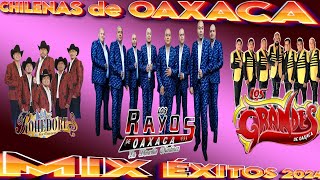 Los Rayos de Oaxaca ft Grupo Rohedores de Oaxaca ft Los Grandes  Chilenas de Oaxaca mix exitos [upl. by Alah]