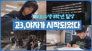 고3 일상 새학기 야자가 시작되었다 고1 2 야간자기주도학습과 다른 점 마이린 TV [upl. by Yeldoow]