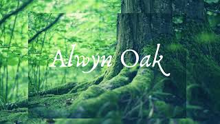 Alwyn Oak Live Stream [upl. by Hen]