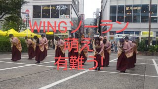 2023テーマ「逢栞」実践女子大学YOSAKOIソーラン部WING [upl. by Drallim]