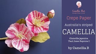 Crepe paper flower How to make paper Camellia flower from crepe paper easy tutorial [upl. by Durarte]