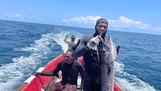 EPIC DAY AT FARMIGOS BANK 🏝️🇯🇲ShARK 🦈Acttack and LOT OF SPEARFISHING In Bad Currents🤿🌊 [upl. by Erehpotsirhc]