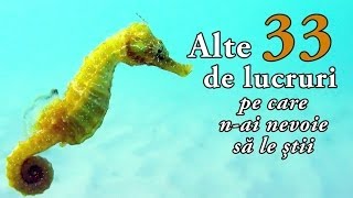 Alte 33 de lucruri pe care nai nevoie să le știi [upl. by Nikal280]