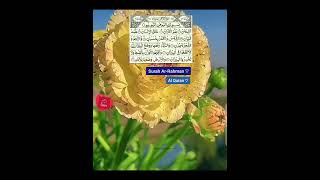 Surah ArRahman ♡  Al Quran ♡  The Straight path  صراط المستقيم [upl. by Nore127]