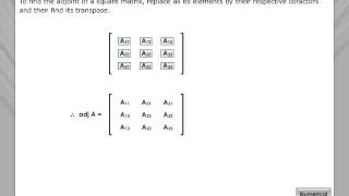 Adjoint Matrix [upl. by Nnail]