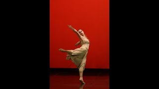 Carol of the Bells  Lindsey Stirling Contemporary dance solo [upl. by Alludba]