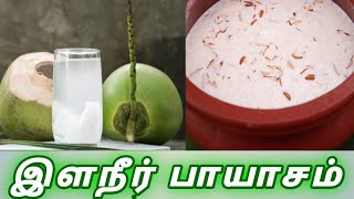 Elaneer Payasam Recipe in TamilElaneer Payasam RecipeTender Coconut Payasam in TamilSweet Payasam [upl. by Arraeis]