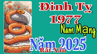 Đinh Tỵ 1977 Nam Mạng Năm 2025 Mọi Phương Diện Đều Bất Ổn Do Hạn Xấu Sao Xấu [upl. by Annovy]