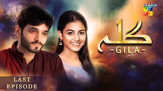 Gila Last Episode 77  Wahaj Ali  Anzela Abbasi  Best Pakistani Serial  HUM TV [upl. by Treble]