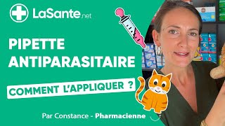 Comment appliquer une pipette antiparasitaire à mon chat [upl. by Meave]