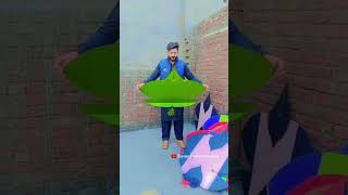 Kite Flying Moments Basant Festival Punjab India Pakistan [upl. by Lenard]