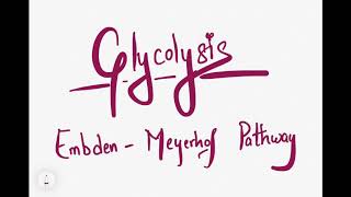 Glycolysis Embden Meyerhof Pathway  Aerobic  Anaerobic  ATP [upl. by Ahsihat]